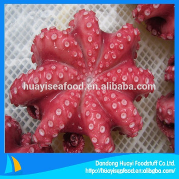 large inquiry of super quality frozen octopus Octopus Vulgaris